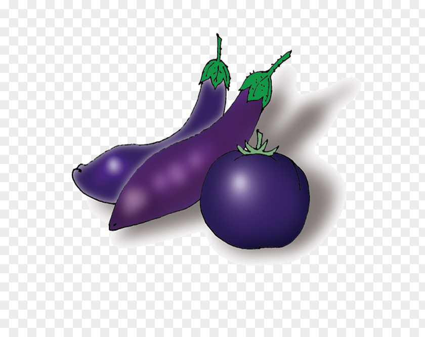 Hand-painted Eggplant Vegetable PNG