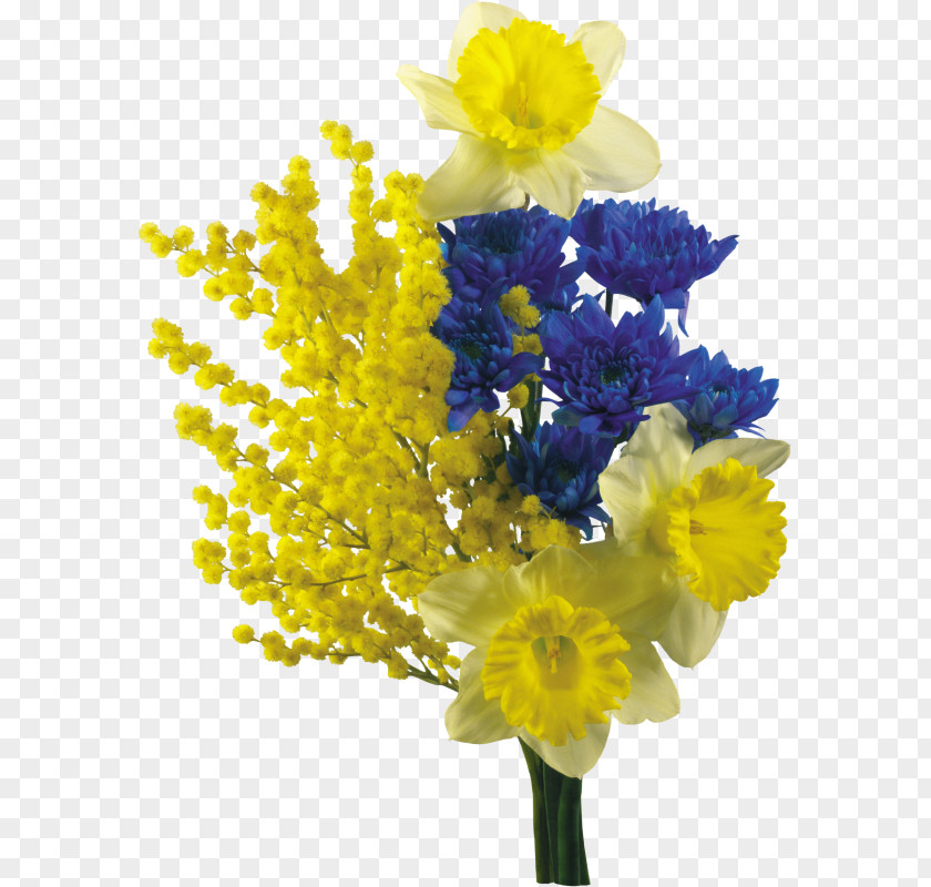 Mimosa Cut Flowers Flower Bouquet Stock Photography Lily PNG