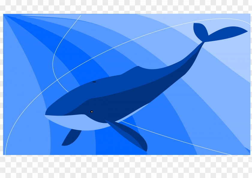 Whale Balaenidae Blue Game Suicide PNG
