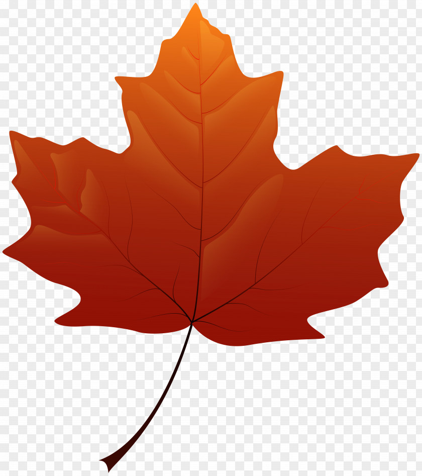 Autumn Leaves Maple Leaf Yellow Clip Art PNG
