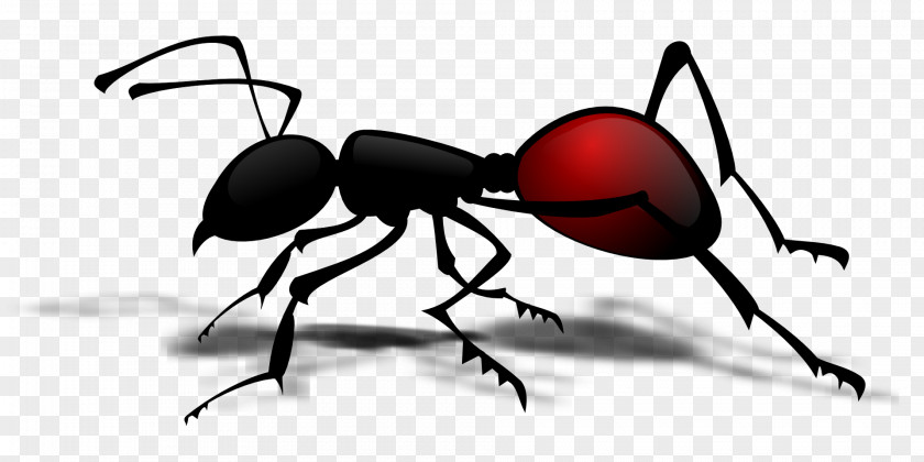 Cartoon Ant Black Garden Insect Clip Art PNG