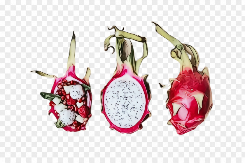 Flower Jewellery Pitaya Dragonfruit Fruit Plant Fashion Accessory PNG