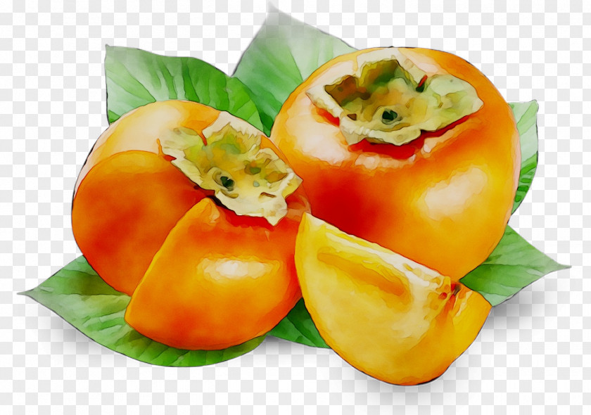 Japanese Persimmon Fruit Date Palm Berry PNG