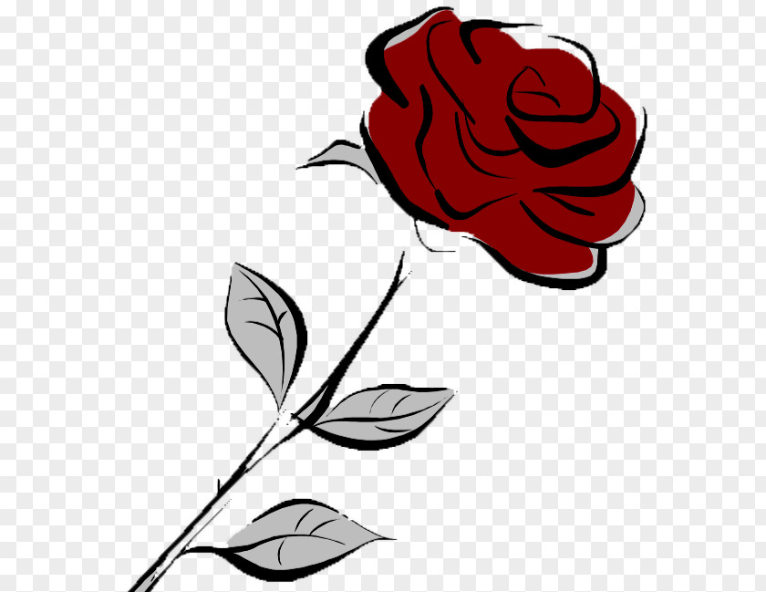 Rose Garden Roses Cut Flowers Ehinger Familie Bürkle Drawing PNG