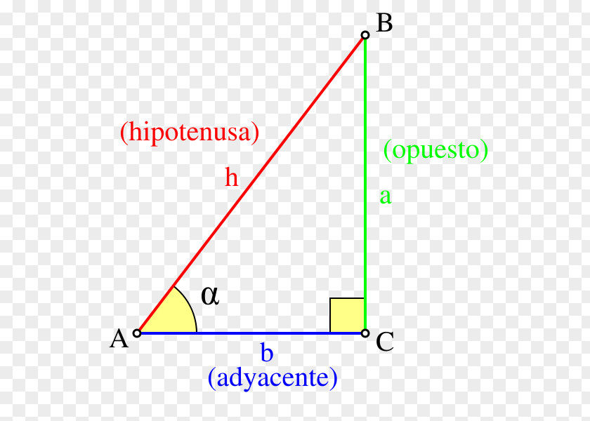 Triangle Trigonometric Functions Trigonometry PNG