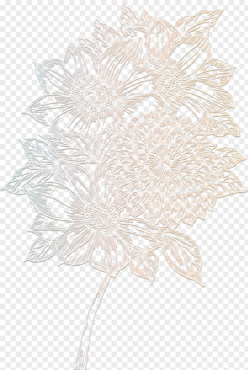 Delicate Flowers Floral Design Monochrome Petal Flowering Plant PNG