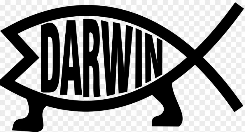 Fish Darwin-Fisch Variations Of The Ichthys Symbol Bumper Sticker PNG