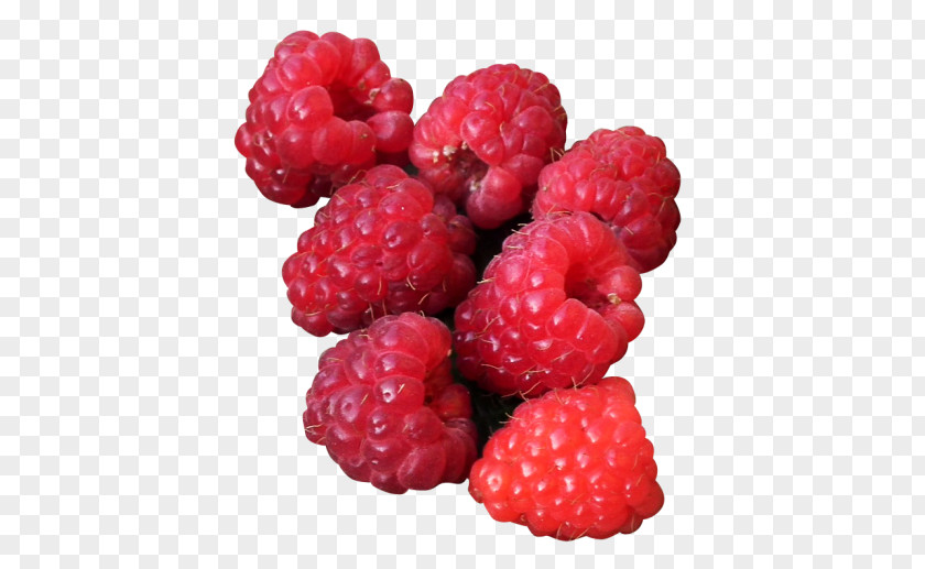 Raspberry Boysenberry Loganberry Tayberry PNG