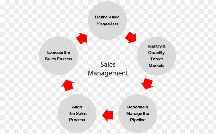 Sales Manager Management Business Marketing PNG