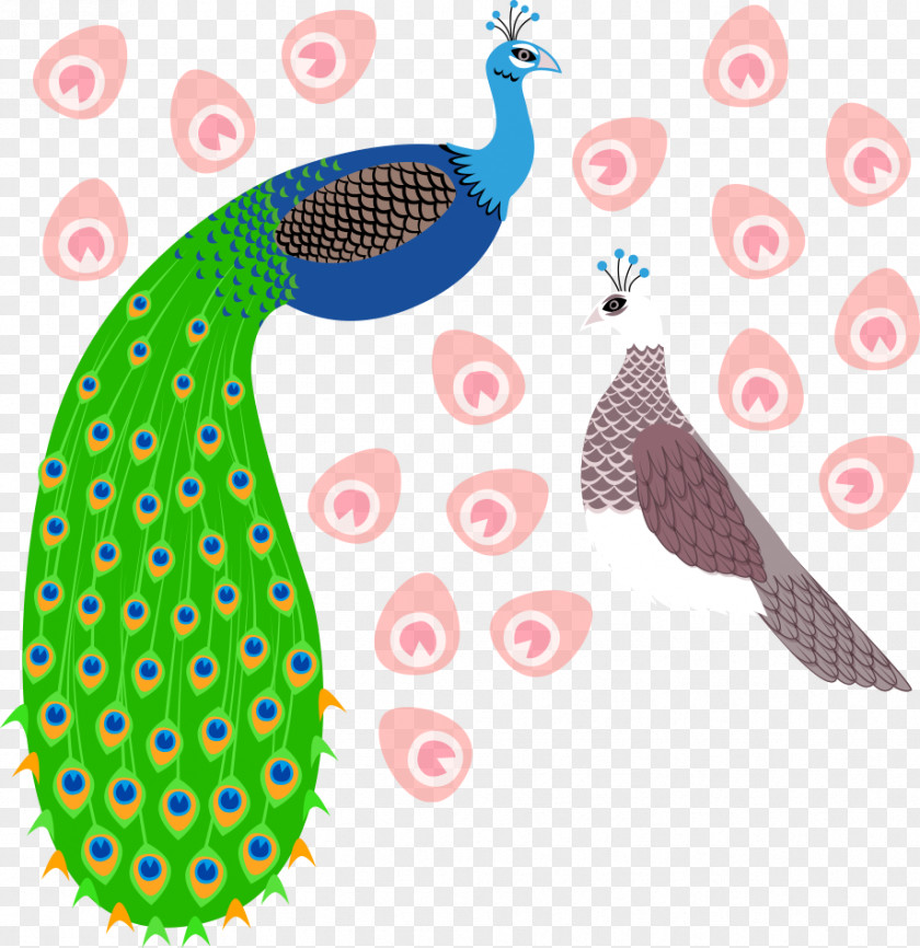 Vector Peacock And Birds Bird Peafowl Vecteur PNG