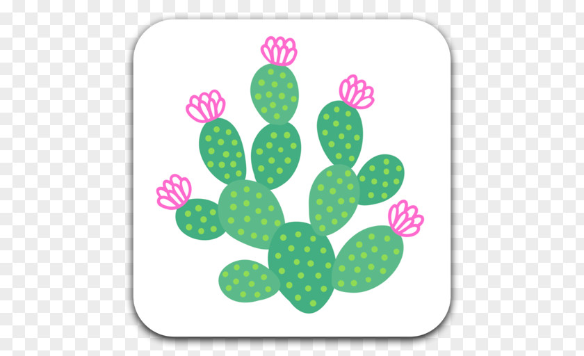 Bring Illustration Image Succulent Plant Cacti And Succulents Green PNG