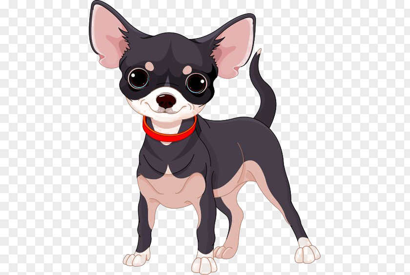 Cartoon Chihuahua PNG chihuahua clipart PNG