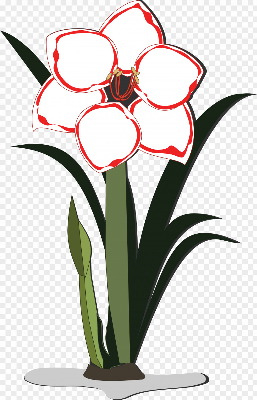 Flower Flowerpot Floral Design Clip Art Jersey Lily PNG