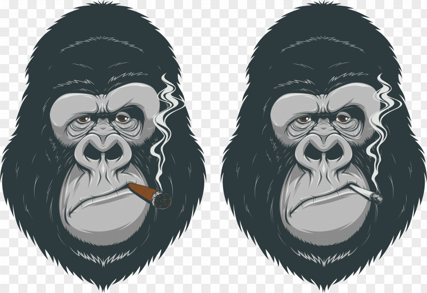 Gorilla Primate Chimpanzee Ape PNG