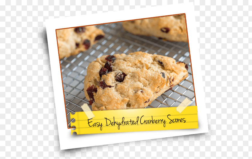 Scone Chocolate Chip Cookie Recipe Dough PNG