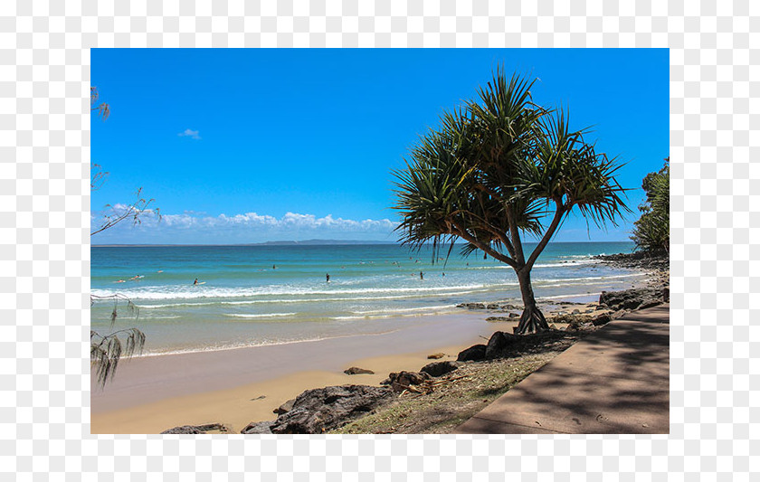 Sunshine Beach Grampians National Park Brisbane Vacation Sea PNG