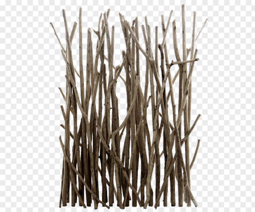 Wandelhalle Clip Art Twig Wood Branch PNG