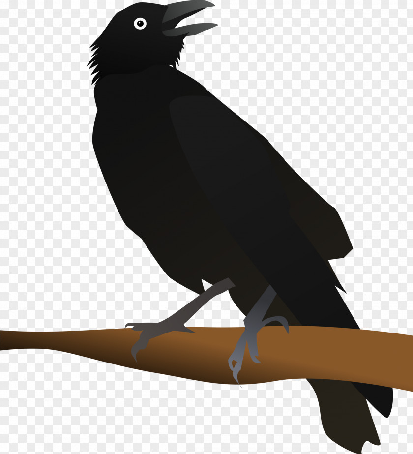 Crow New Caledonian American Clip Art Openclipart PNG