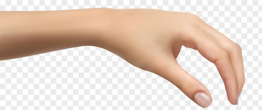 Hand Back Cliparts Finger Clip Art PNG