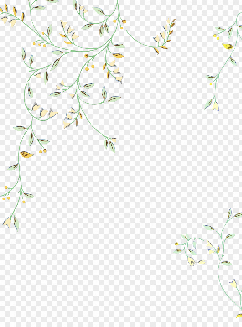 Twig Branch Pedicel Plant Flower PNG