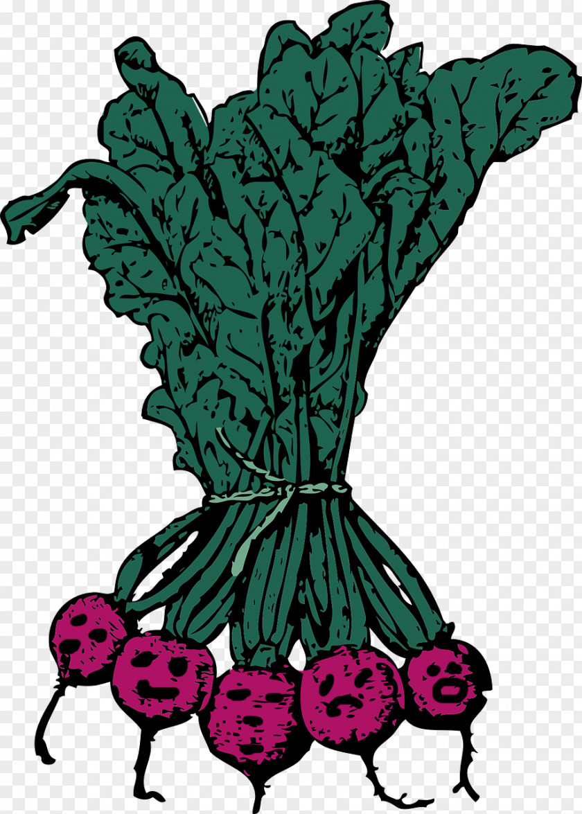 Vegetable Beetroot Sugar Beet Clip Art PNG