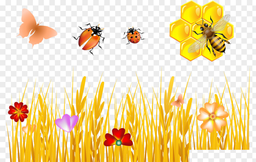 Bee Royalty-free Vector Graphics Stock Illustration Photography PNG