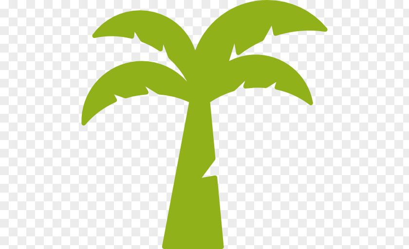 Coconut Arecaceae Palm Oil PNG