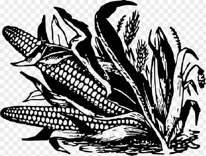 Corn On The Cob Maize Black And White Fritter Clip Art PNG