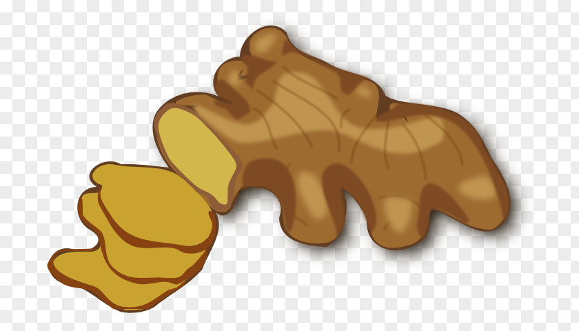 Ginger Root Cliparts Gingerbread Man Clip Art PNG