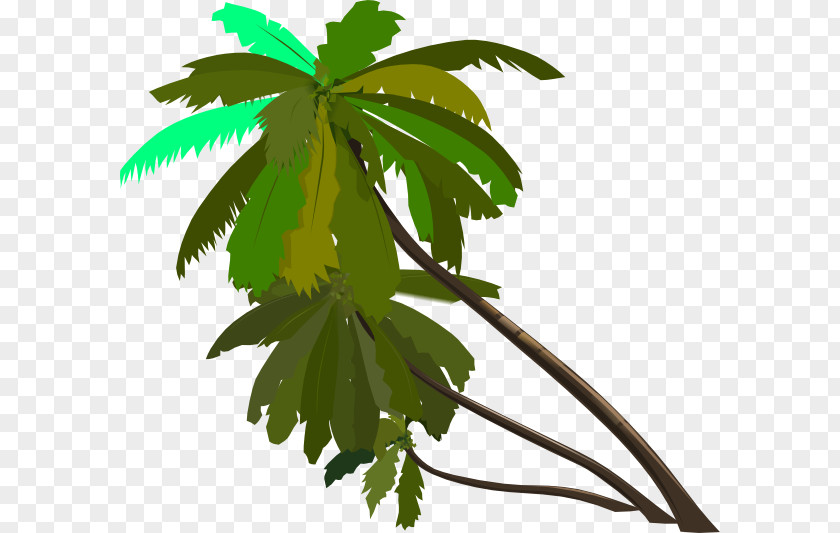 Golden Branches Arecaceae Drawing Clip Art PNG