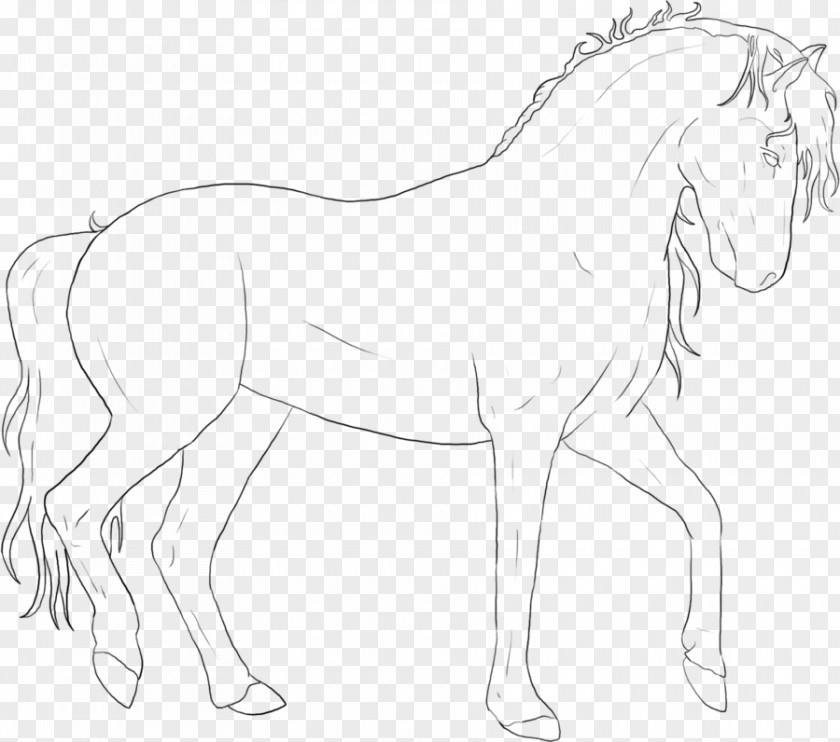 Horse Mule Art Pony Bridle PNG