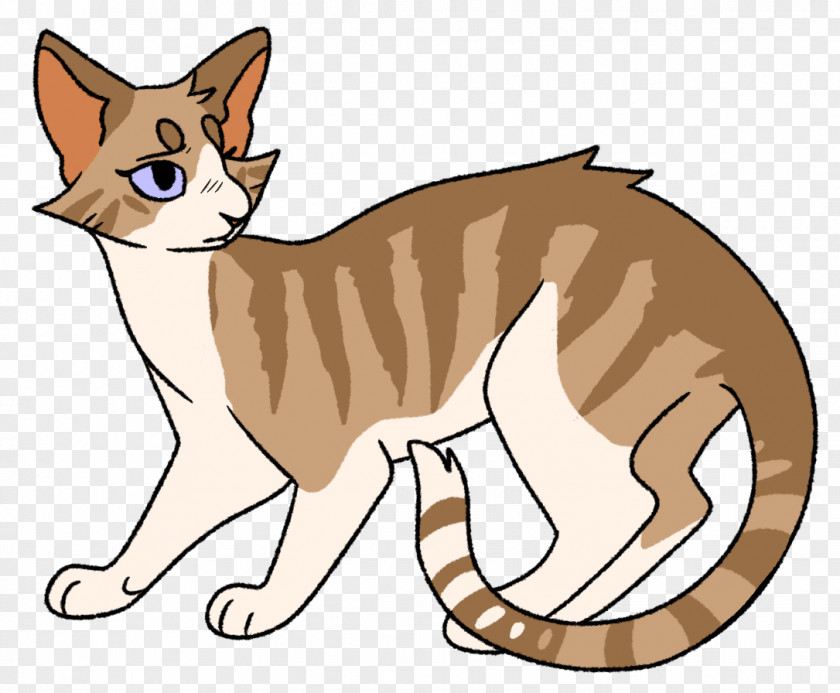 Kitten Whiskers Domestic Short-haired Cat Cats Of The Clans PNG
