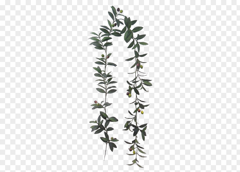 Potted Flowers And Green Plants Garland Flower Branch Plant Stem PNG