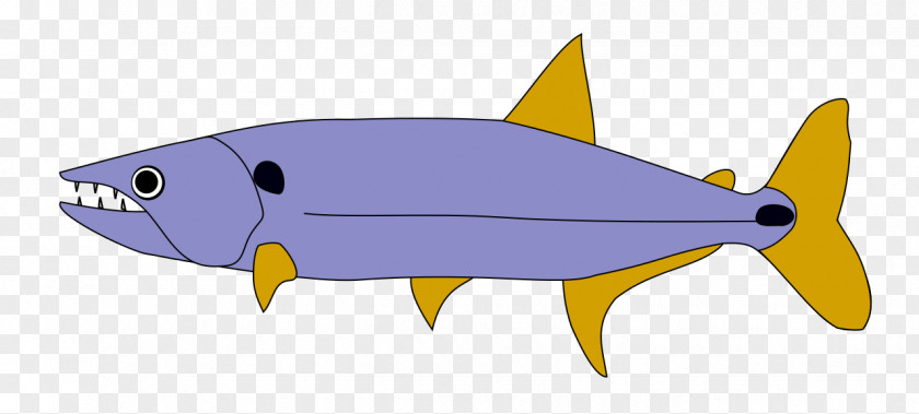 Tri Acestrorhynchus Lacustris Orinoco Fish Hoplias Malabaricus PNG