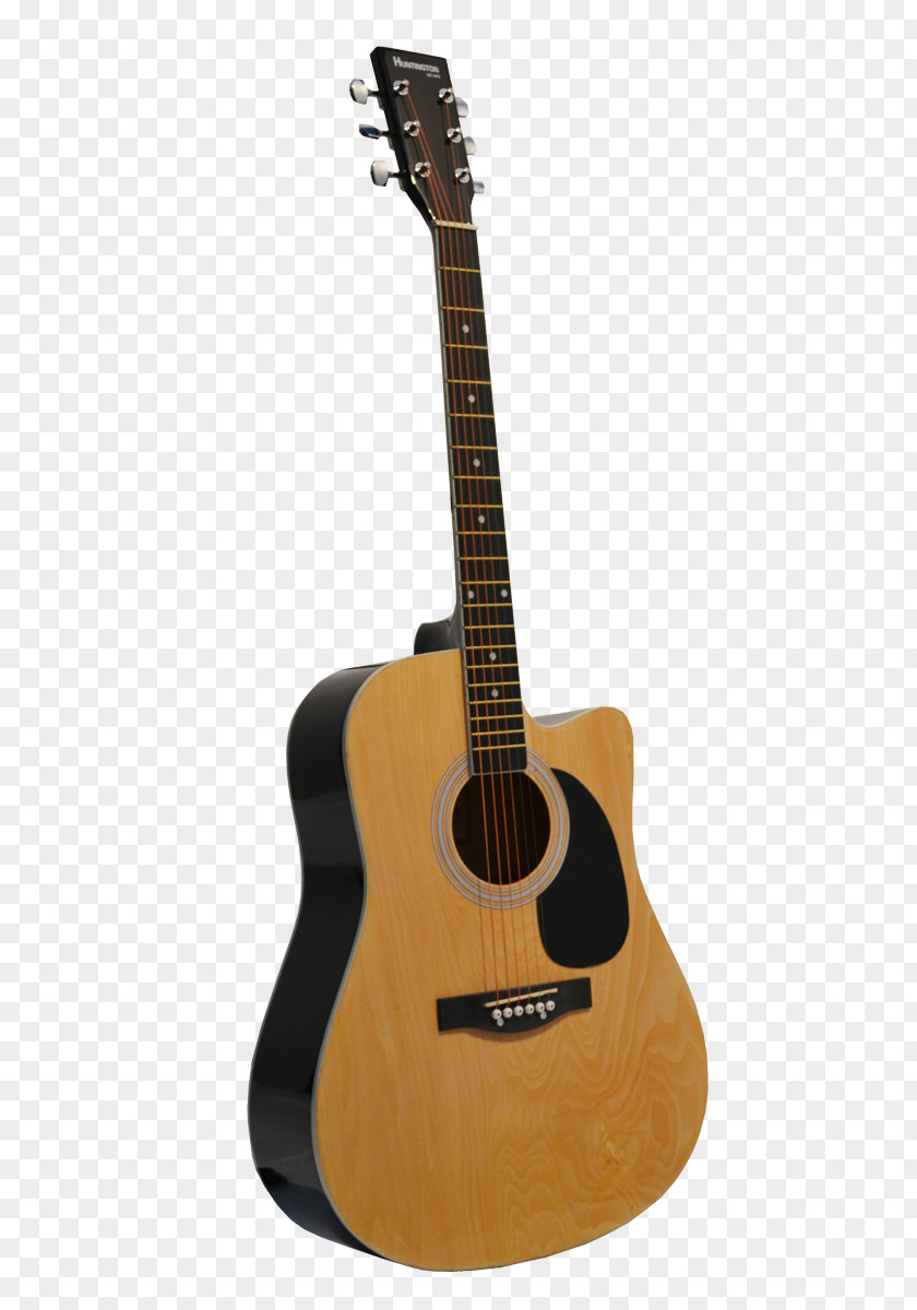 Acoustic Guitar Steel-string Cutaway Dreadnought PNG
