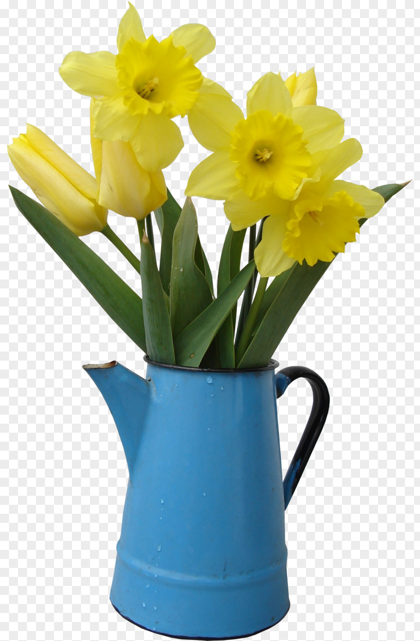 Flower Tulip Watering Cans Vase Daffodil PNG