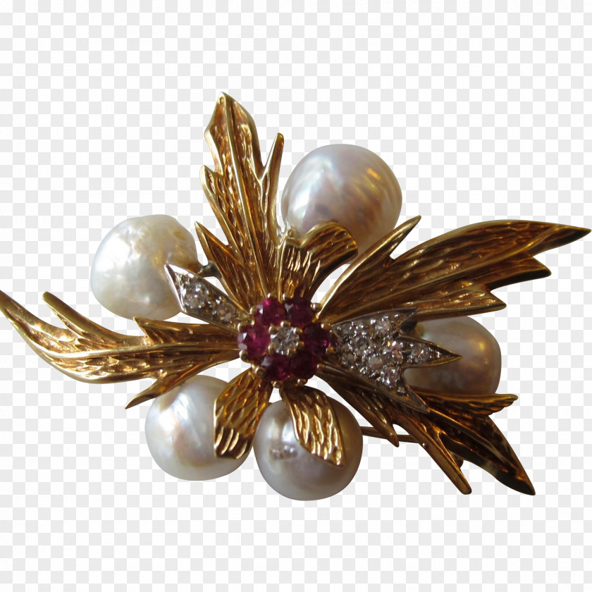 Gold Brooch Baroque Pearl Colored PNG