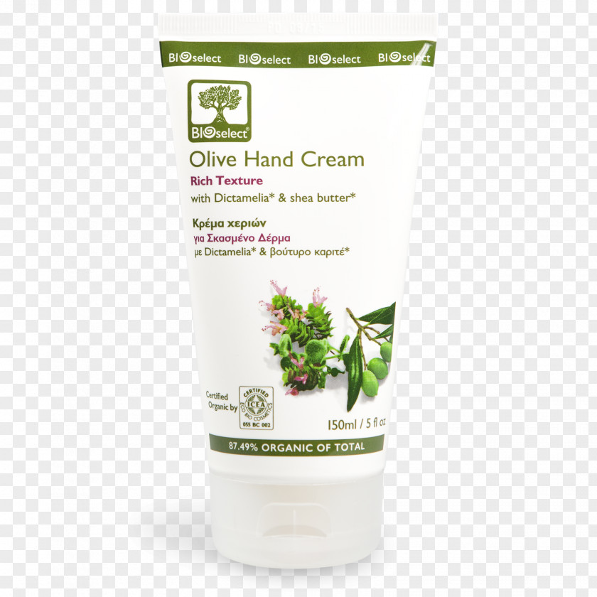 Olive Lotion Sunscreen Cream Shea Butter PNG