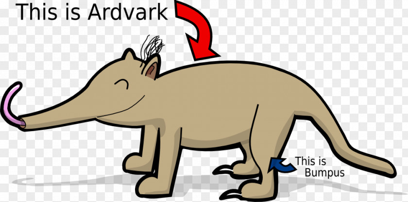 Aardvark Arthur Read Snout Clip Art PNG