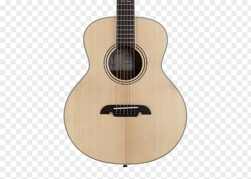 Acoustic Gig Acoustic-electric Guitar Steel-string PNG