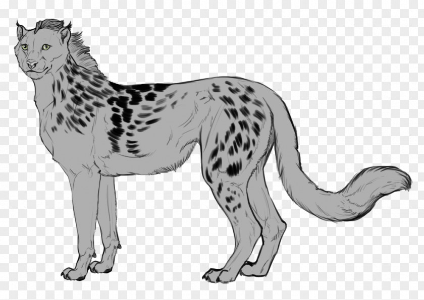 Cat Cheetah Lion Leopard Mammal PNG
