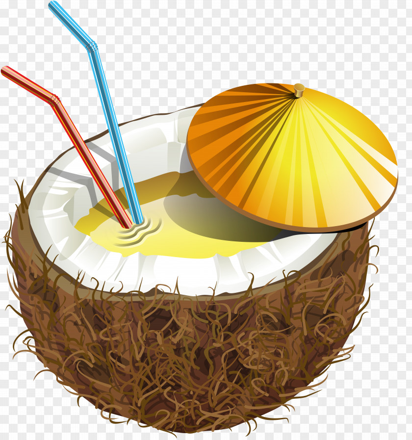 Coconut Milk Tropical Fruit PNG