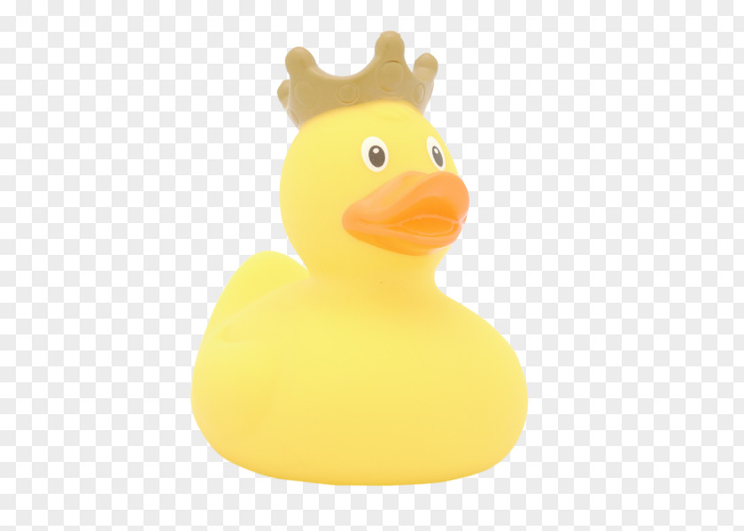 Duck Domestic Rubber Limassol Store Toy PNG