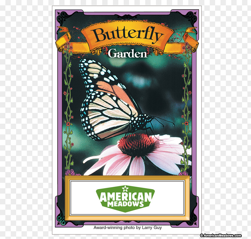 Flower Seed Monarch Butterfly Brush-footed Butterflies Meadow PNG
