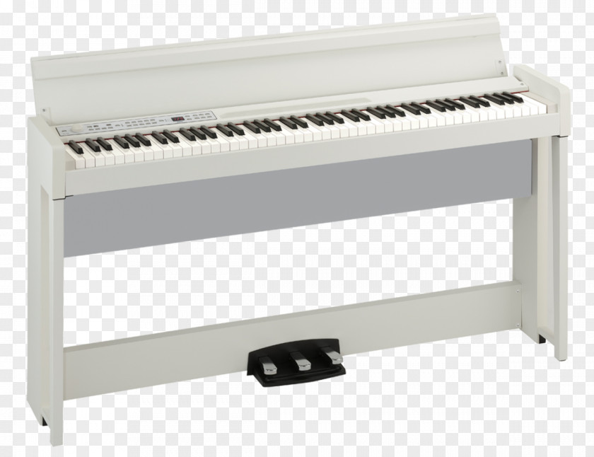 Piano Digital Korg Musical Instruments PNG