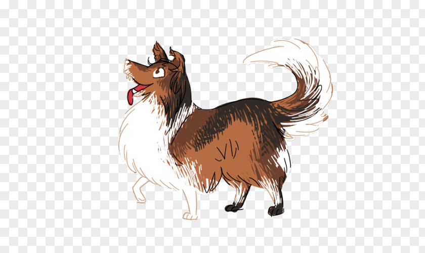 Shetland Sheepdog Dog Breed Paw PNG