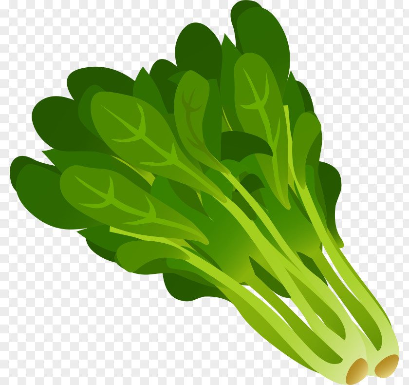 Spinach Cliparts Leaf Vegetable Clip Art PNG