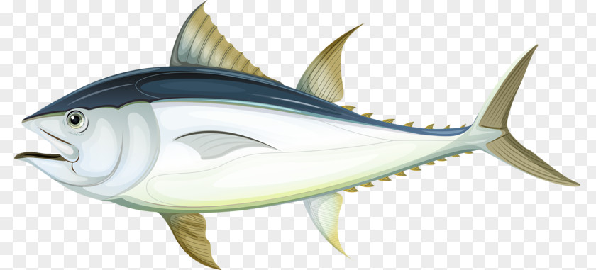Cartoon White Fish Tuna Royalty-free Illustration PNG