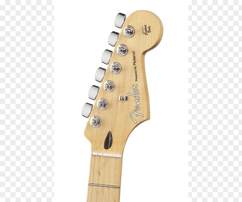 Electric Guitar Acoustic-electric Fender Stratocaster Musical Instruments Corporation PNG