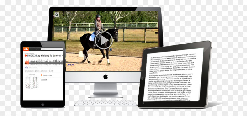 Horse Training Dressage Computer Software PNG